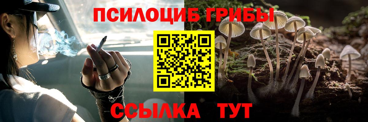Псилоцибиновые грибы Psilocybine cubensis  Вход с VPN  Губкин  Псилоцибиновые грибы Psilocybine cubensis 
