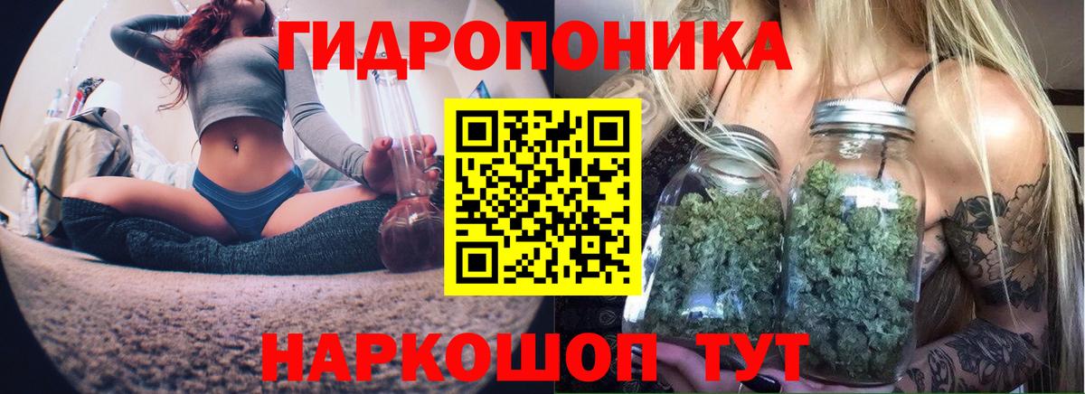 Конопля VHQ Губкин